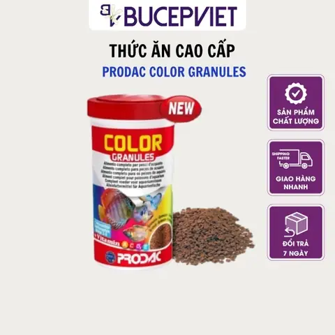 Thức Ăn Cá Cảnh Tetra Color: Bí Quyết Kích Màu Tự Nhiên Cho Bể Cá Cao Cấp