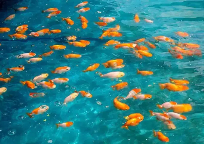 Đánh Giá Chất Lượng Và Kinh Nghiệm Khách Hàng