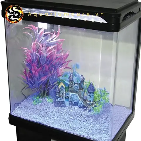 Hướng Dẫn Nuôi Cá Ping Pong