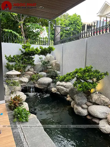 Nuôi Cá Cảnh Quận Bình Tân Có Trách Nhiệm?