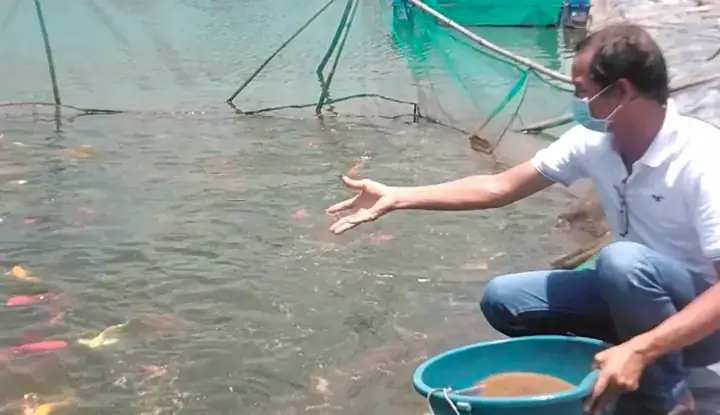 Xây Dựng Đế Chế Cá Cảnh Bằng Công Nghệ Cao