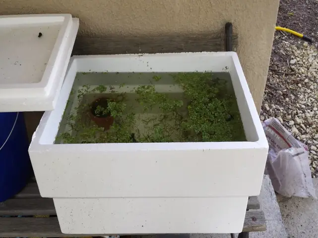 Chọn Địa Điểm Đặt Thùng Nuôi Cá Phù Hợp