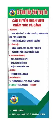 Cá Cảnh Trung Tín Trường Chinh - Địa Chỉ Uy Tín Cho Người Yêu Cá Cảnh Tại Tân Bình