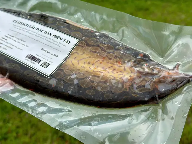 Cách Sơ Chế Cá Chạch Đúng Cách Sơ Chế Cá Chạch Đúng