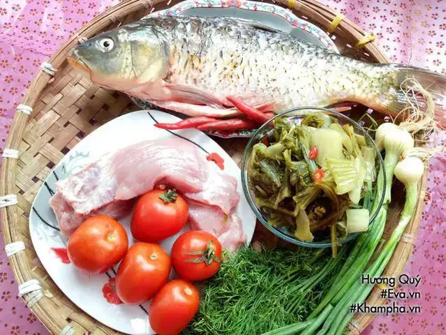 Cá Chạch Kỵ Gì? Giải Mã Những “điểm Yếu” Của Loài Cá Thú Vị Này