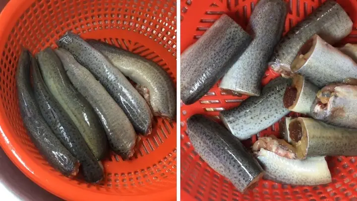 Hướng Dẫn Sơ Chế Và Bảo Quản Cá Chạch