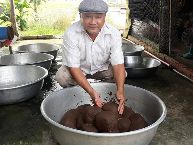 Mô Hình Nuôi Cá Chạch Lấu Ghép Cá Heo Sông Đuôi Đỏ Mang Lại Giá Trị Kinh Tế Cao