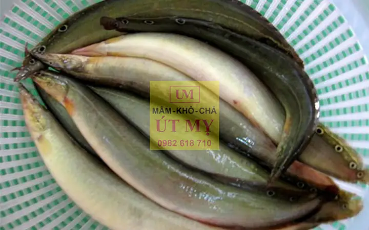 Khô Cá Chạch Đồng Miền Tây: Đặc Sản Mùa Nước Nổi Dinh Dưỡng & Cách Chế Biến