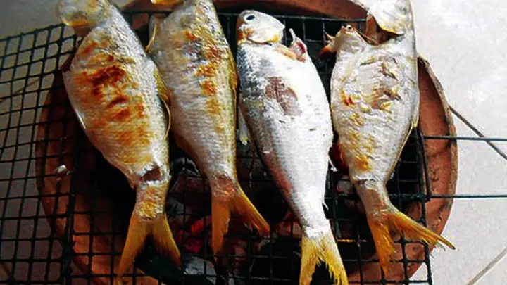 Cá Cháy Trà Ôn