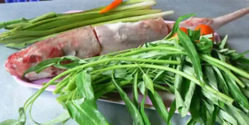 Giới Thiệu Tổng Quan Về Cá Chèo Bẻo Bông Giới Thiệu Tổng Quan Về Cá Chèo Bẻo Bông