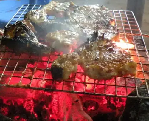 Đặc Điểm Sinh Học Và Tập Tính Của Cá Chèo Bẻo Bông Đặc Điểm Sinh Học Và Tập Tính Của Cá Chèo Bẻo Bông