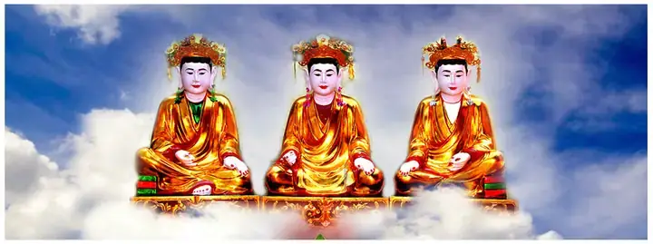 Giải Mã Lời Đồn Cá Chép Ăn Thịt Người