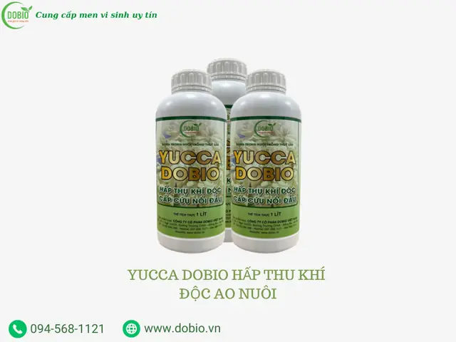 Cá Chép Đẻ Tự Nhiên Cá Chép Đẻ Tự Nhiên