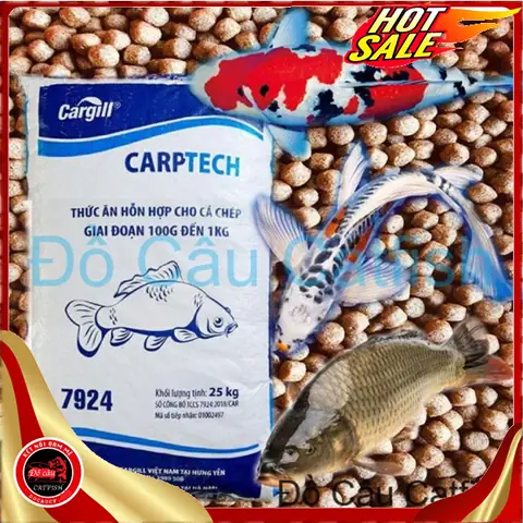 Khối Lượng Cá Chép: Phân Tích Khoa Học Và Bảo Tồn Trong Môi Trường Tự Nhiên