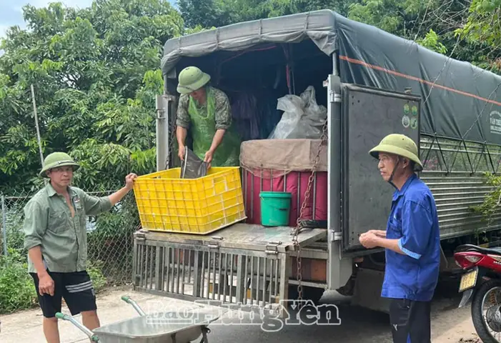 Nuôi Ghép Cá Chép Lai V1