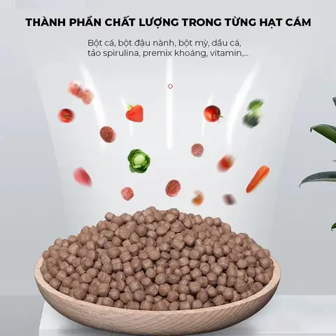 Thức Ăn Giúp Tăng Trưởng, Lên Màu Đẹp