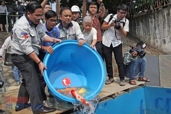 Cá Chép Tam Dương