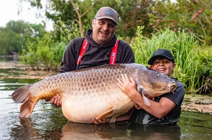 Cá Chép To Nhất Thế Giới: Huyền Thoại Về Những "thủy Quái" Nước Ngọt