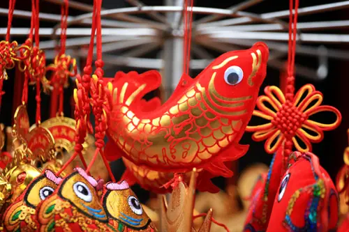 Tại Sao Cá Chép Lại Có Thể Bay Được?