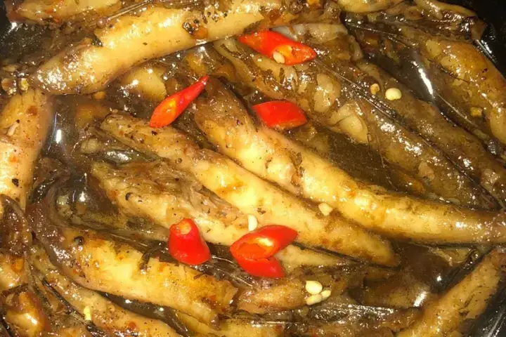 Nơi Cư Trú Chính Của Cá Chìa Vôi: Từ Đại Dương Đến Vùng Nước Lợ