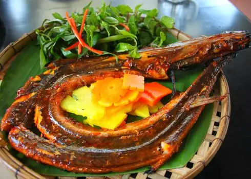 Cá Chìa Vôi Biển Cá Chìa Vôi Biển