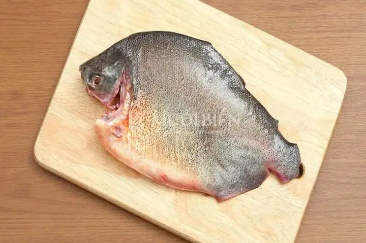 Cá Chim Nước Ngọt Bao Nhiêu Tiền 1kg?