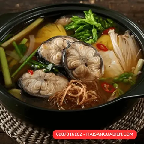 Lợi Ích Của Cá Chình Đối Với Sức Khỏe