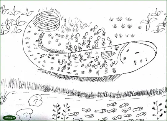 Cá Chuối Nhảy Lên Bờ: Giải Mã Nguyên Nhân & Cách Xử Lý Khi Gặp
