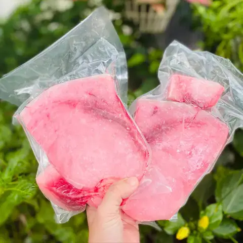 Đặc Điểm Sinh Học Của Cá Cờ (betta Splendens) – Loài Cá Nước Ngọt Điển Hình Đặc Điểm Sinh Học Của Cá Cờ (betta Splendens) – Loài Cá Nước Ngọt Điển Hình