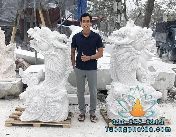 Sự Quyến Rũ Khó Cưỡng Của Cá Đá (betta Fish)