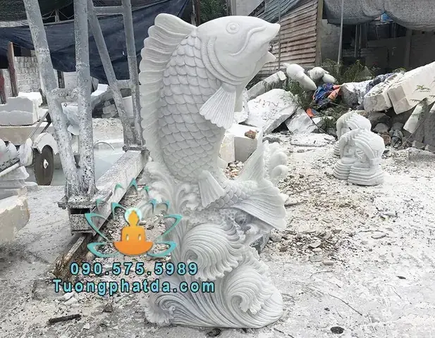 Tiêu Chí Đánh Giá Vẻ Đẹp Của Cá Đá