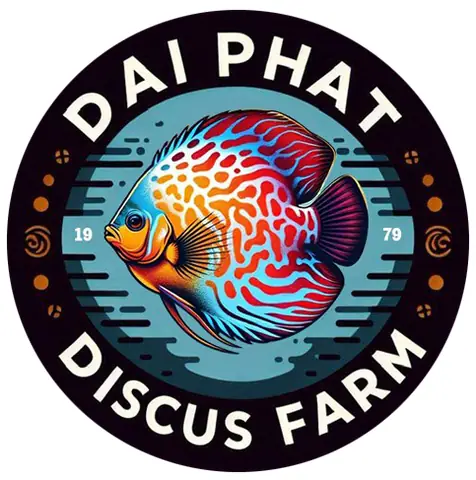 Cá Đĩa Albino Là Gì? Loài Cá Bạch Tạng Độc Đáo Và Cách Chăm Sóc Hoàn Hảo