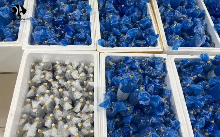 Building A Suitable Facility Building A Suitable Facility