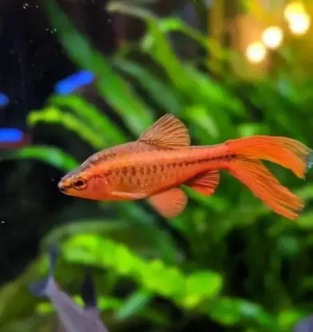 Chuẩn Bị Môi Trường Lý Tưởng Cho Quá Trình Sinh Sản