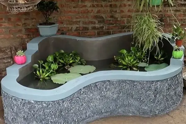 Cá Dọn Bể Xi Măng: Loài Cá Làm Sạch Hiệu Quả Cho Hồ Sân Vườn