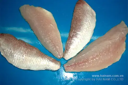 Giá Trị Kinh Tế Và Ẩm Thực Của Cá Đổng Giá Trị Kinh Tế Và Ẩm Thực Của Cá Đổng