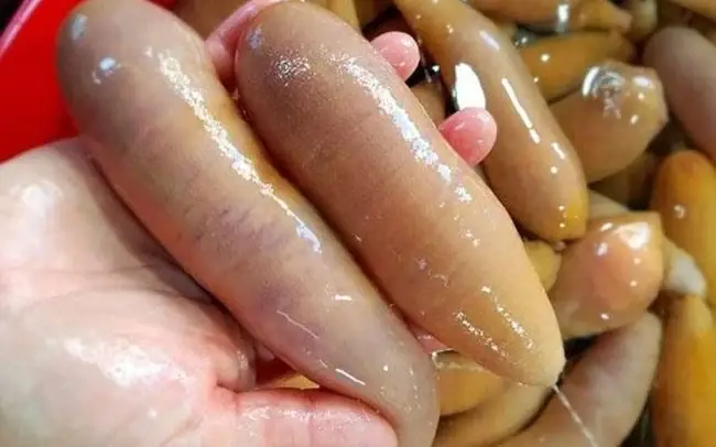 Tên Nghe Đã Đỏ Mặt, Toàn Thân Không Xương, Ăn Tuyệt Ngon, Giá ...