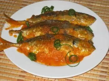 Cá Giống Cá Bạc Má