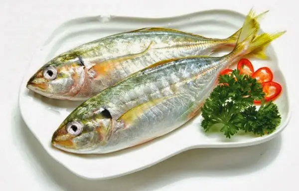 Cá Giống Cá Bạc Má