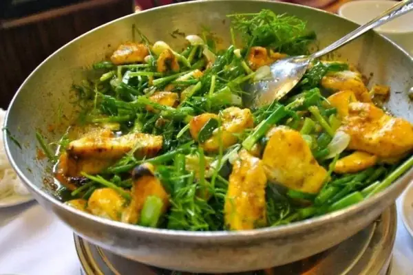 Cá Hà Lan Là Gì? Nguồn Gốc Và Đặc Điểm Cá Xiêm (betta)