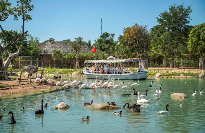 Các Loại Bệnh Thường Gặp, Cách Phòng Bệnh