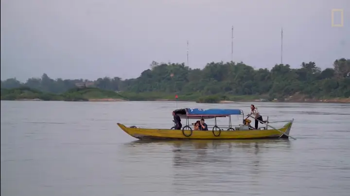 Cá Heo Nước Ngọt Irrawaddy Tuyệt Chủng