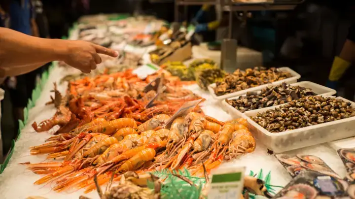 Protein Hoàn Chỉnh Và Axit Amin Thiết Yếu