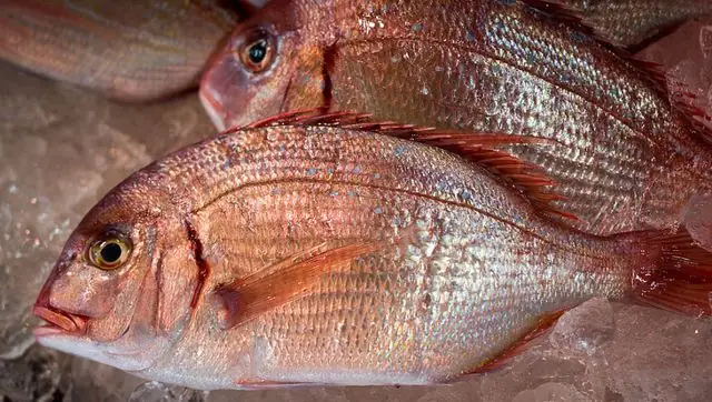 Cá Hồng Nhật Bản: Hải Sản Cao Cấp Cho Bữa Ăn Gia Đình