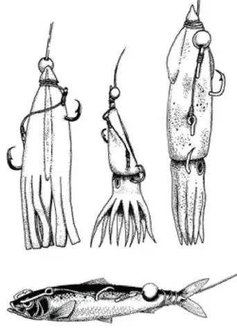 Cá Hồng Nước Lợ