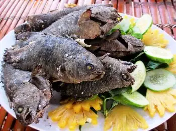 “lóc, Rô, Chạch, Kèo” Vinh Danh Ẩm Thực Miền Tây | Sài Gòn Thập Cẩm