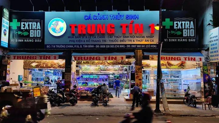 Cá Cảnh Thủy Sinh Trung Tín Cá Cảnh Thủy Sinh Trung Tín