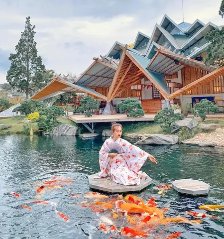 Cá Koi Đà Lạt