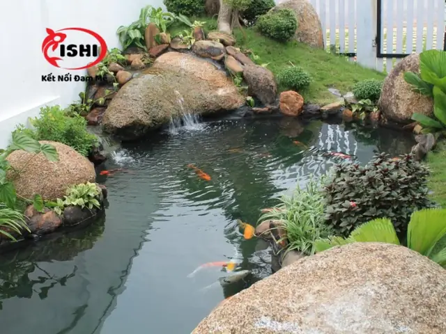 Giới Thiệu Về Ishikoi Farm: