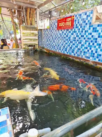 Cafe Xưa & Nay – Hồi Ức Bên Tách Cà Phê